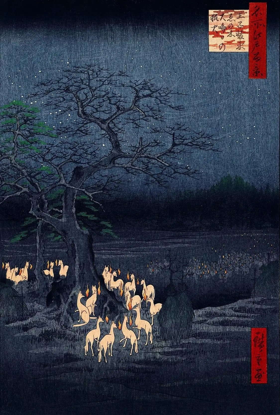 New Year's Eve Foxfires